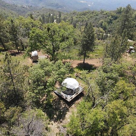 Enchanted Forest Dome ,10-15 Minutes To Kings Canyons-New Pellet Stove For Cozy Warm Nights Dunlap Extérieur photo