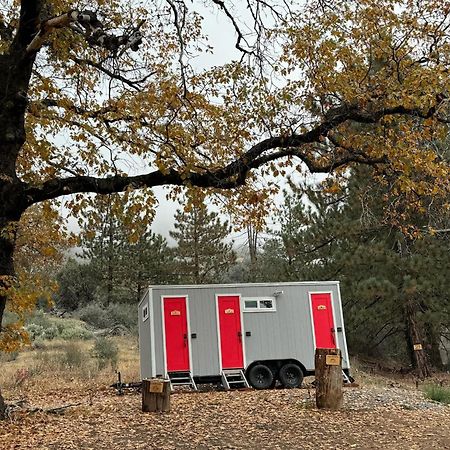 Enchanted Forest Dome ,10-15 Minutes To Kings Canyons-New Pellet Stove For Cozy Warm Nights Dunlap Extérieur photo