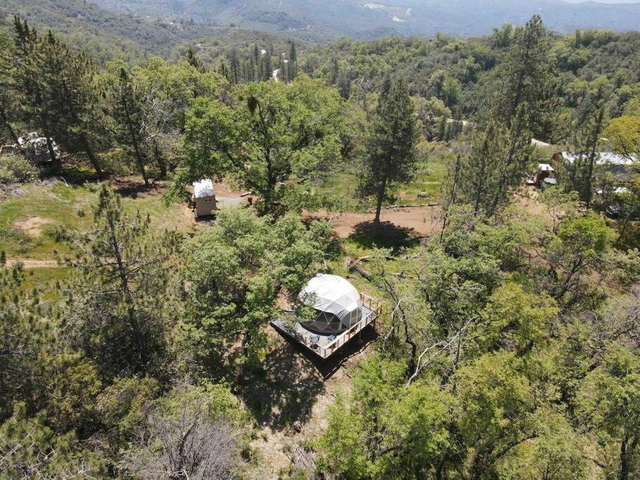 Enchanted Forest Dome ,10-15 Minutes To Kings Canyons-New Pellet Stove For Cozy Warm Nights Dunlap Extérieur photo