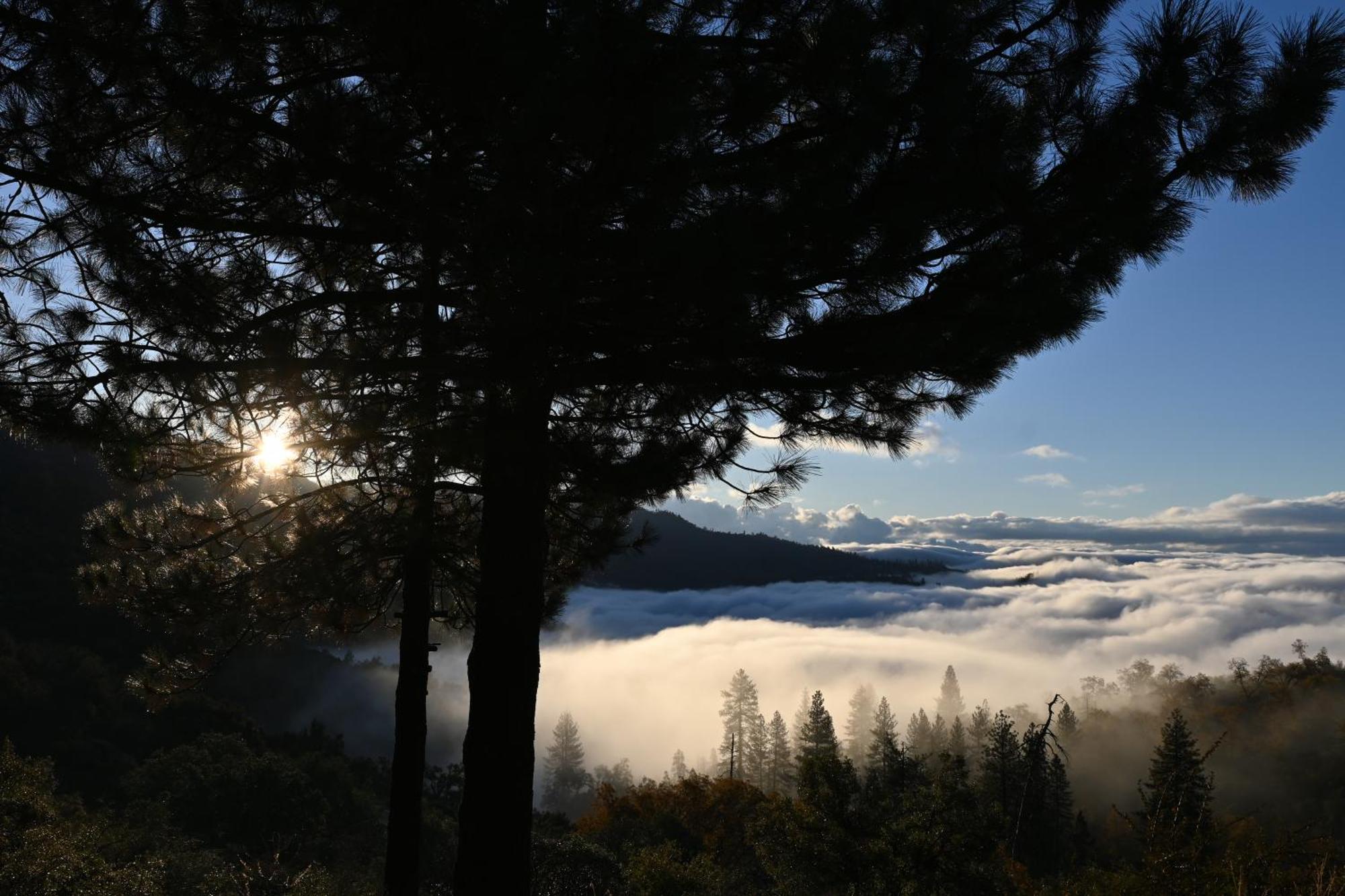 Enchanted Forest Dome ,10-15 Minutes To Kings Canyons-New Pellet Stove For Cozy Warm Nights Dunlap Extérieur photo